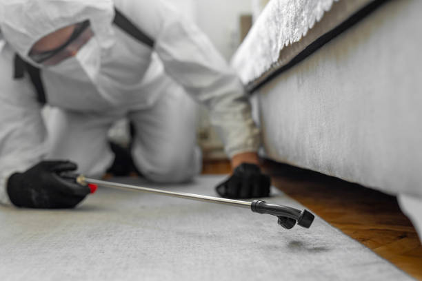 Professional Bed Bug Control technician working in Prairie Grove, IL