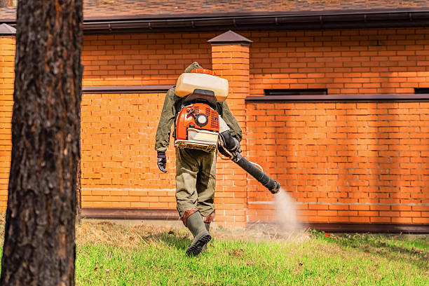 Trusted Cockroach Control service in Prairie Grove, IL - Nex Pest Control